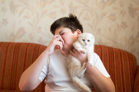 Teen turns due to unpleasant odor from cat