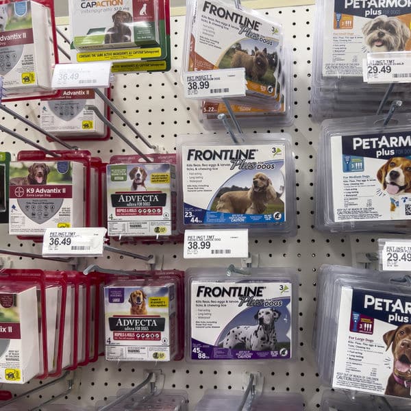 Pet flea products on shelves