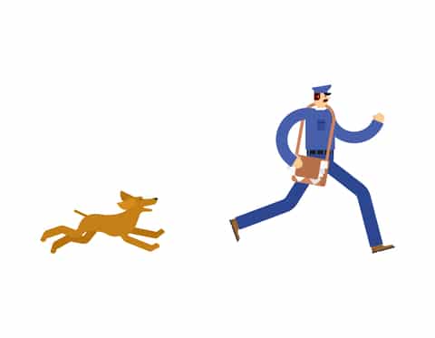 Dog chasing mailman
