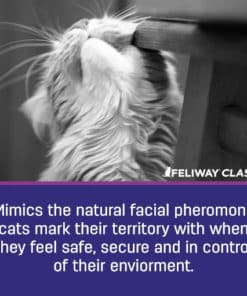 FELIWAY Cat Calming Pheromone Spray (60ML)