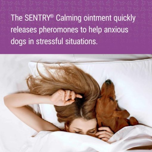SENTRY® Calming Ointment for Dogs