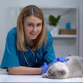 Image of Vet with cat